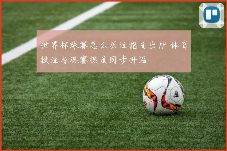世界杯球赛怎么买注指南出炉 体育投注与观赛热度同步升温