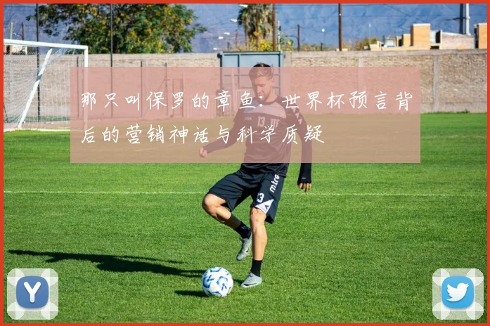 那只叫保罗的章鱼：世界杯预言背后的营销神话与科学质疑