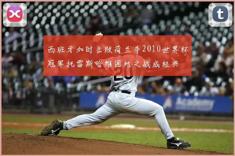 西班牙加时击败荷兰夺2010世界杯冠军托雷斯哈维团结之战成经典