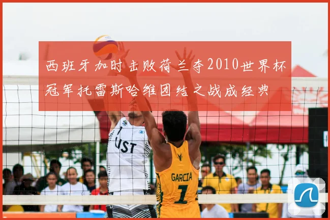 西班牙加时击败荷兰夺2010世界杯冠军托雷斯哈维团结之战成经典